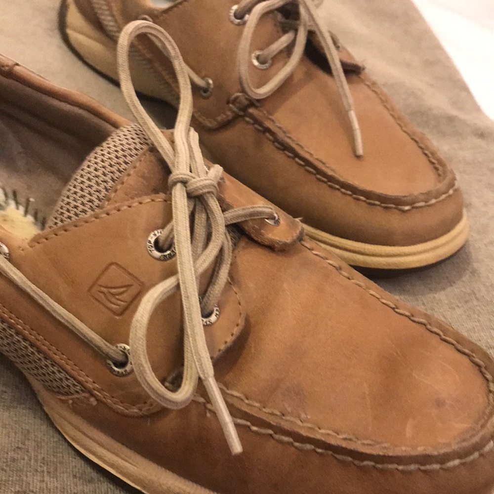 Sorry Topsiders - Picture 2 of 9